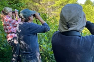 3 people birding at a bog with binoculars