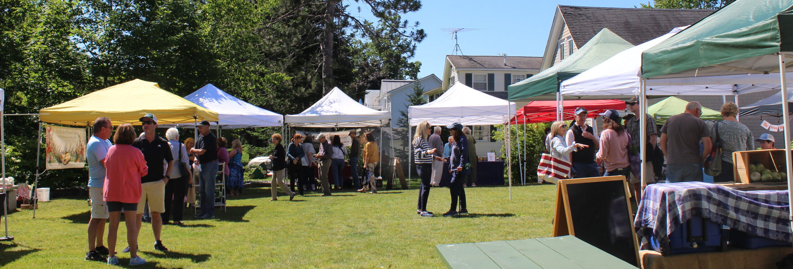 A busy farmers market at 7 Lakes Alliance