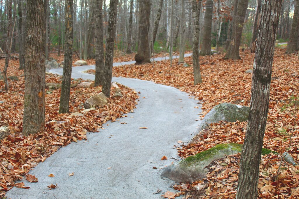 Wheelchair accessible trail through hardwood forest in fall