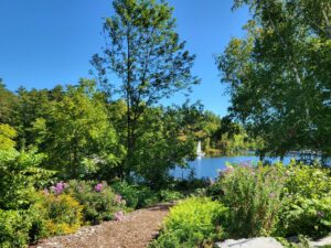 Buffer garden with winding mulch path