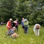 Group of people looking closely at wildflowers in a field