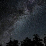 Milky Way Galaxy framed by tall pine trees