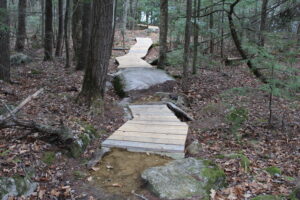 long pond bridges