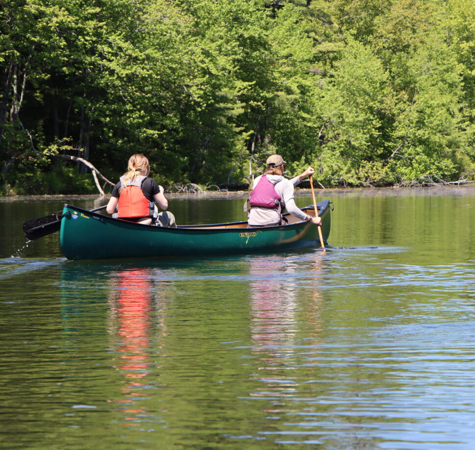 two people paddling a canoe in a remote stream