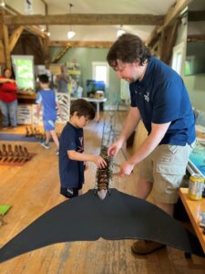 Child and instructor reconstructing a whale skeleton