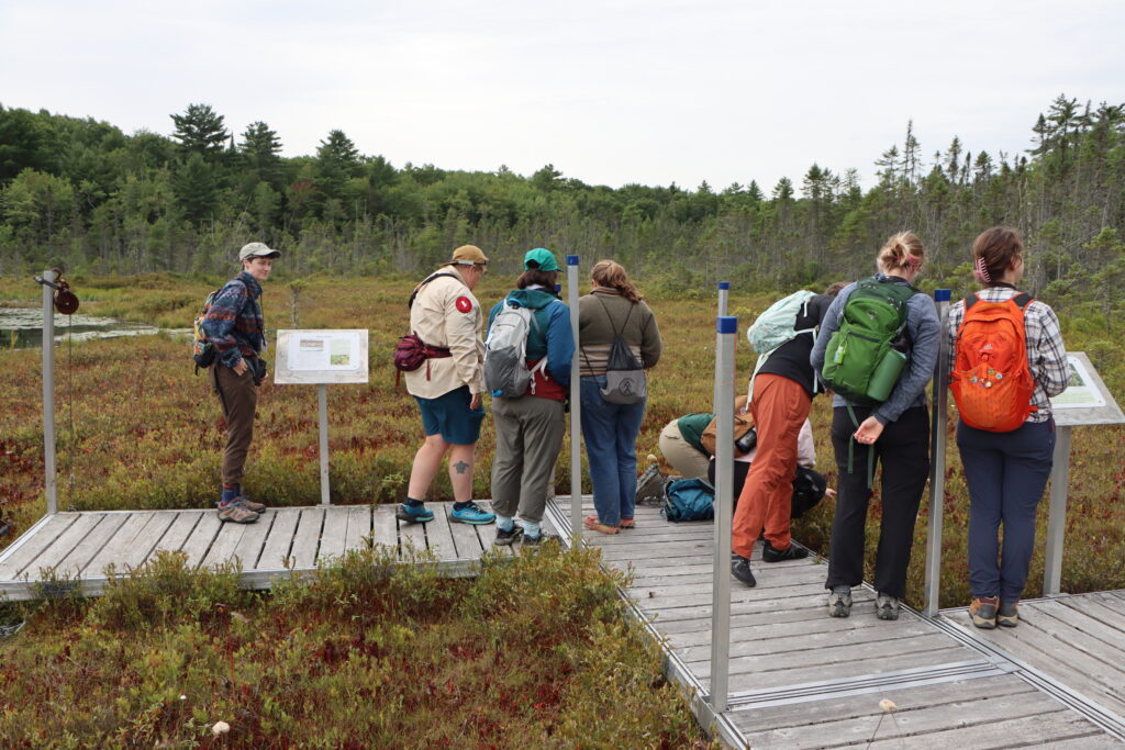 people on a boardwalk over a bog